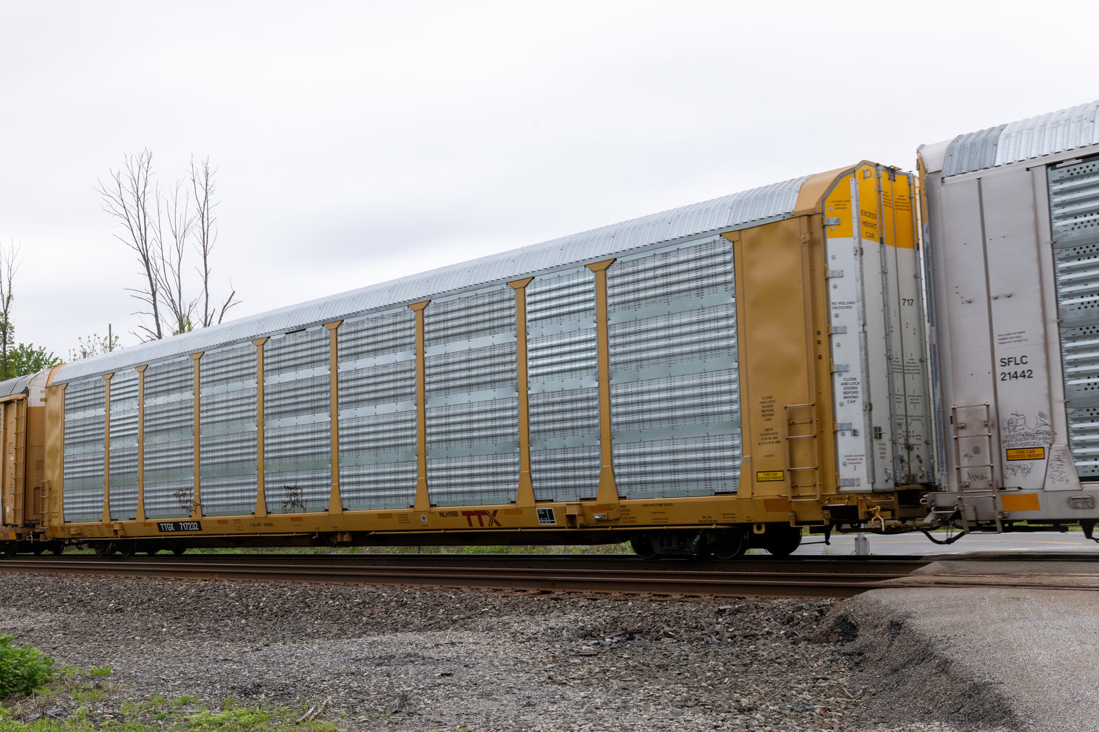 TTGX 717232