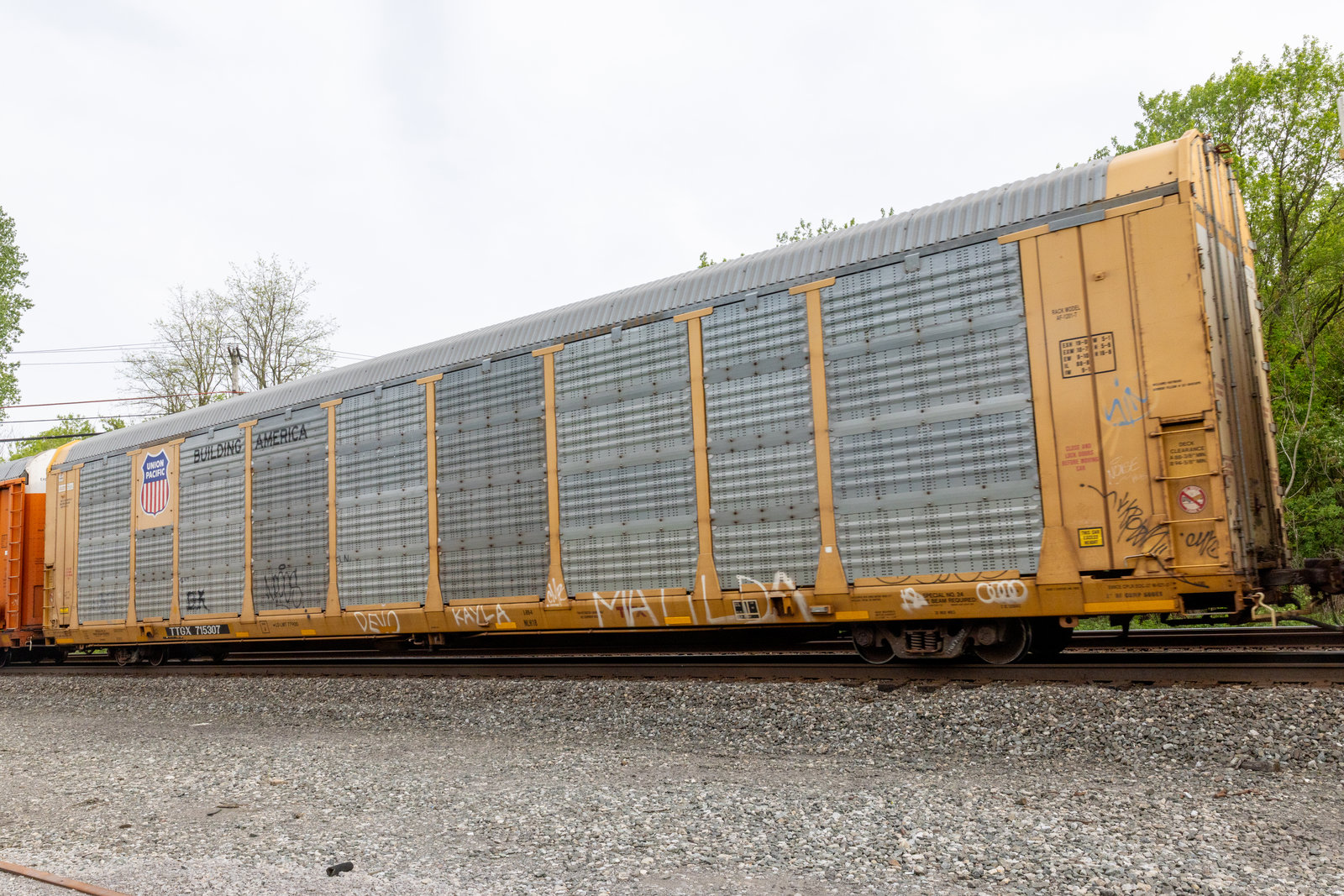 TTGX 715307