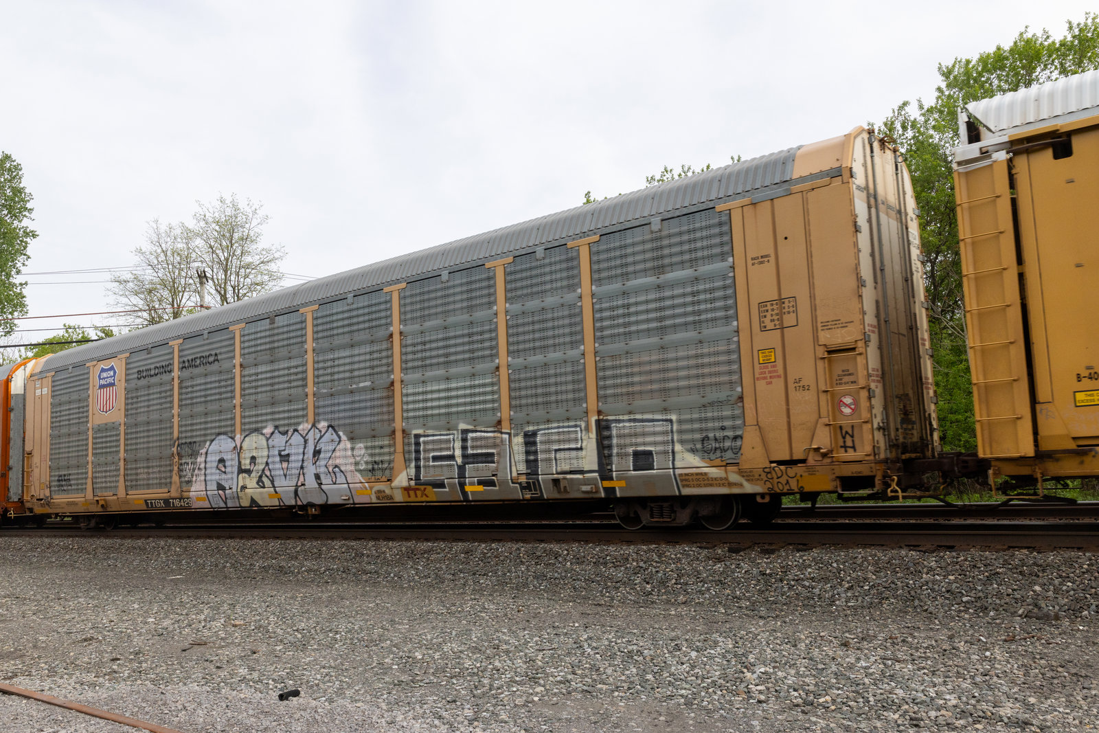 TTGX 716429