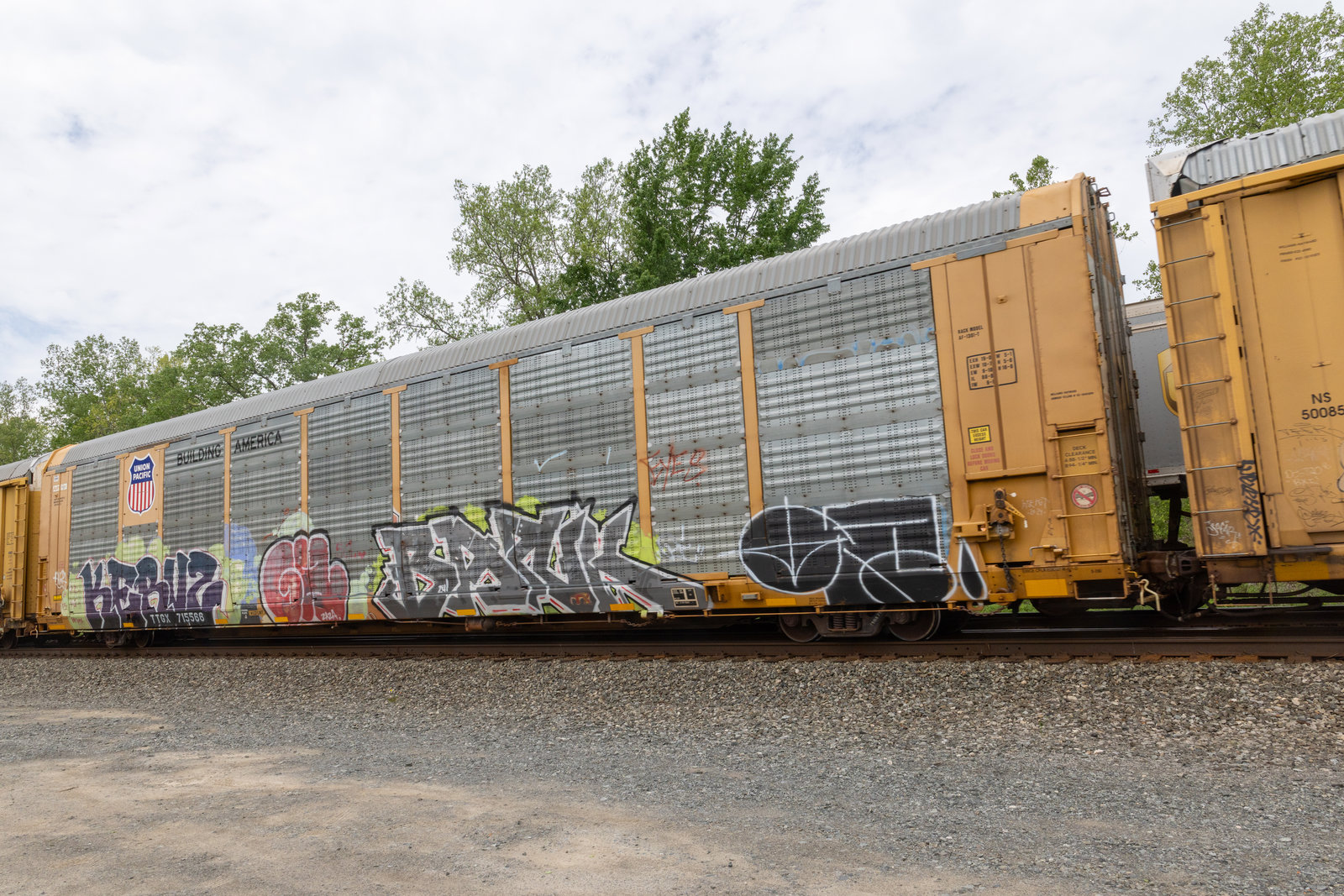 TTGX 715568
