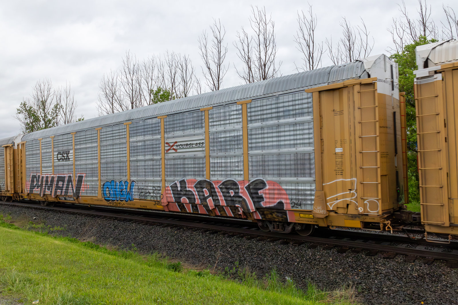 TTGX 709448
