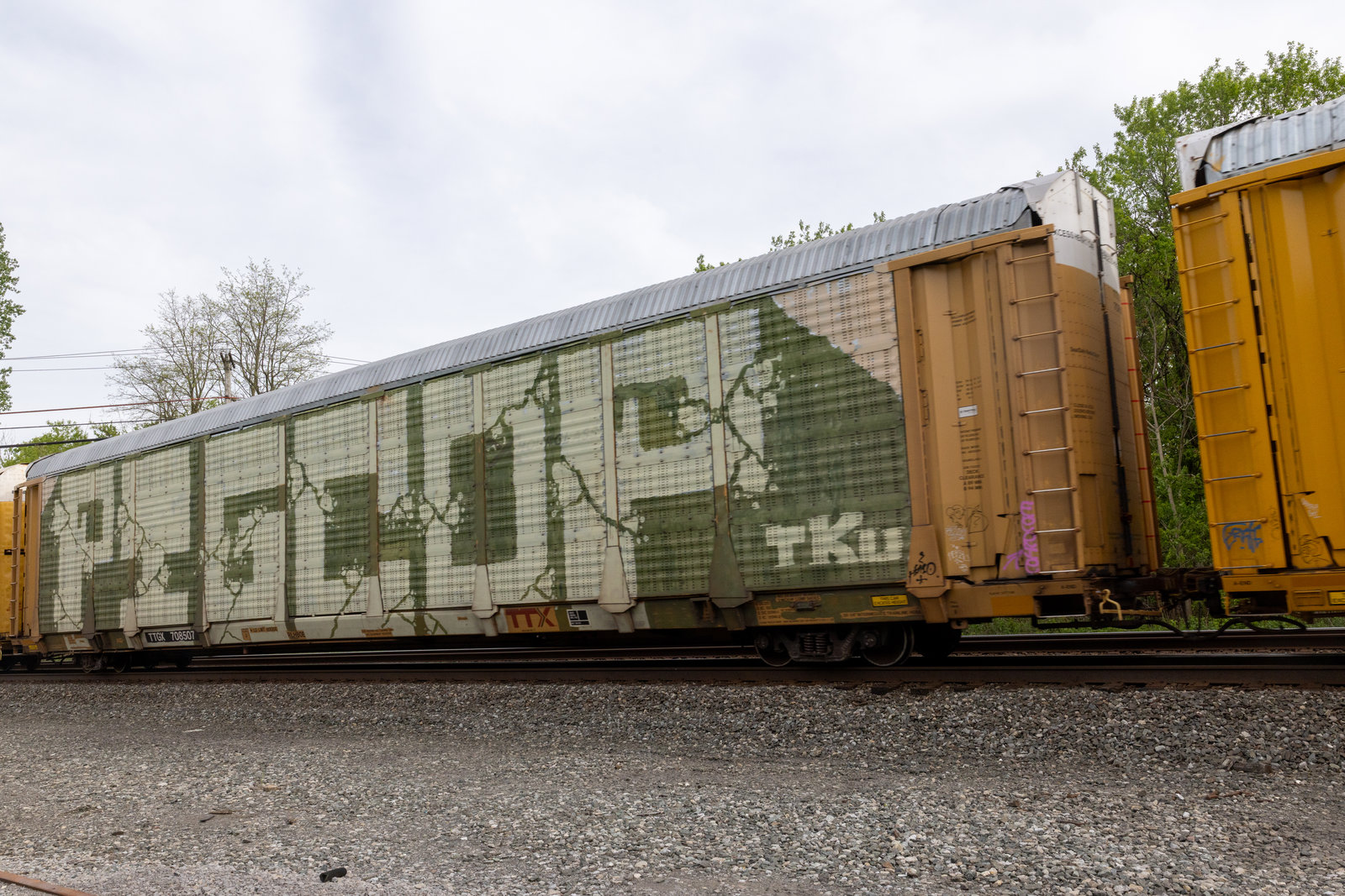 TTGX 708507