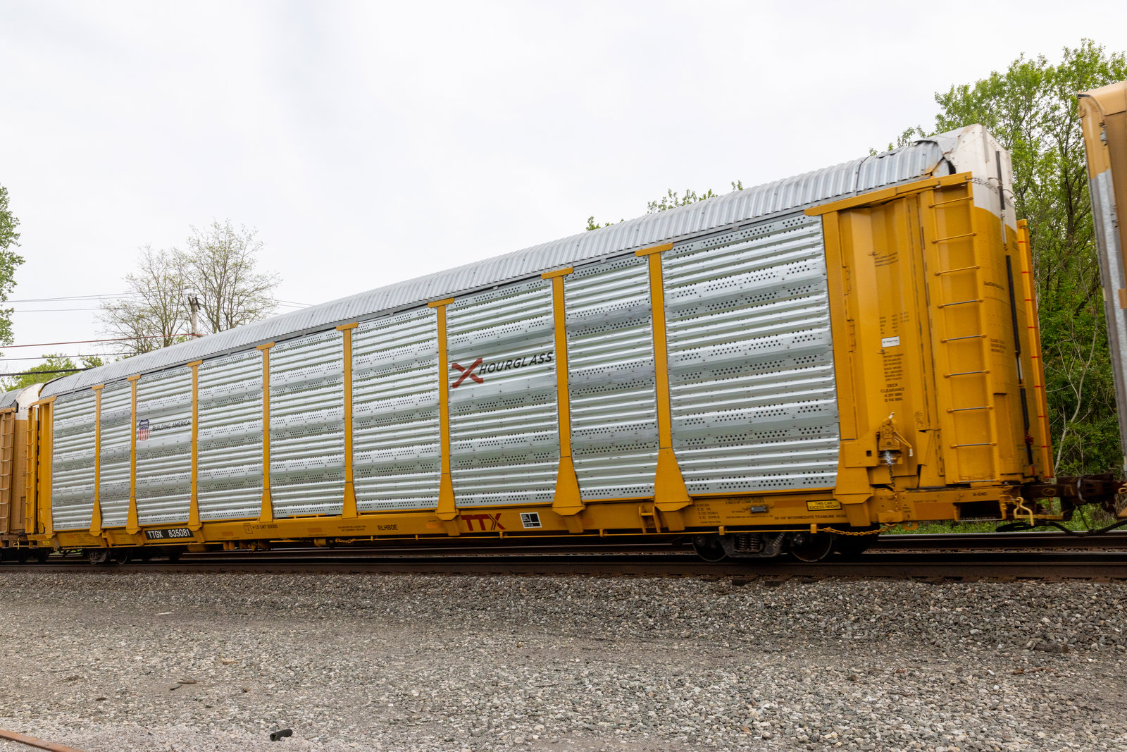 TTGX 835081