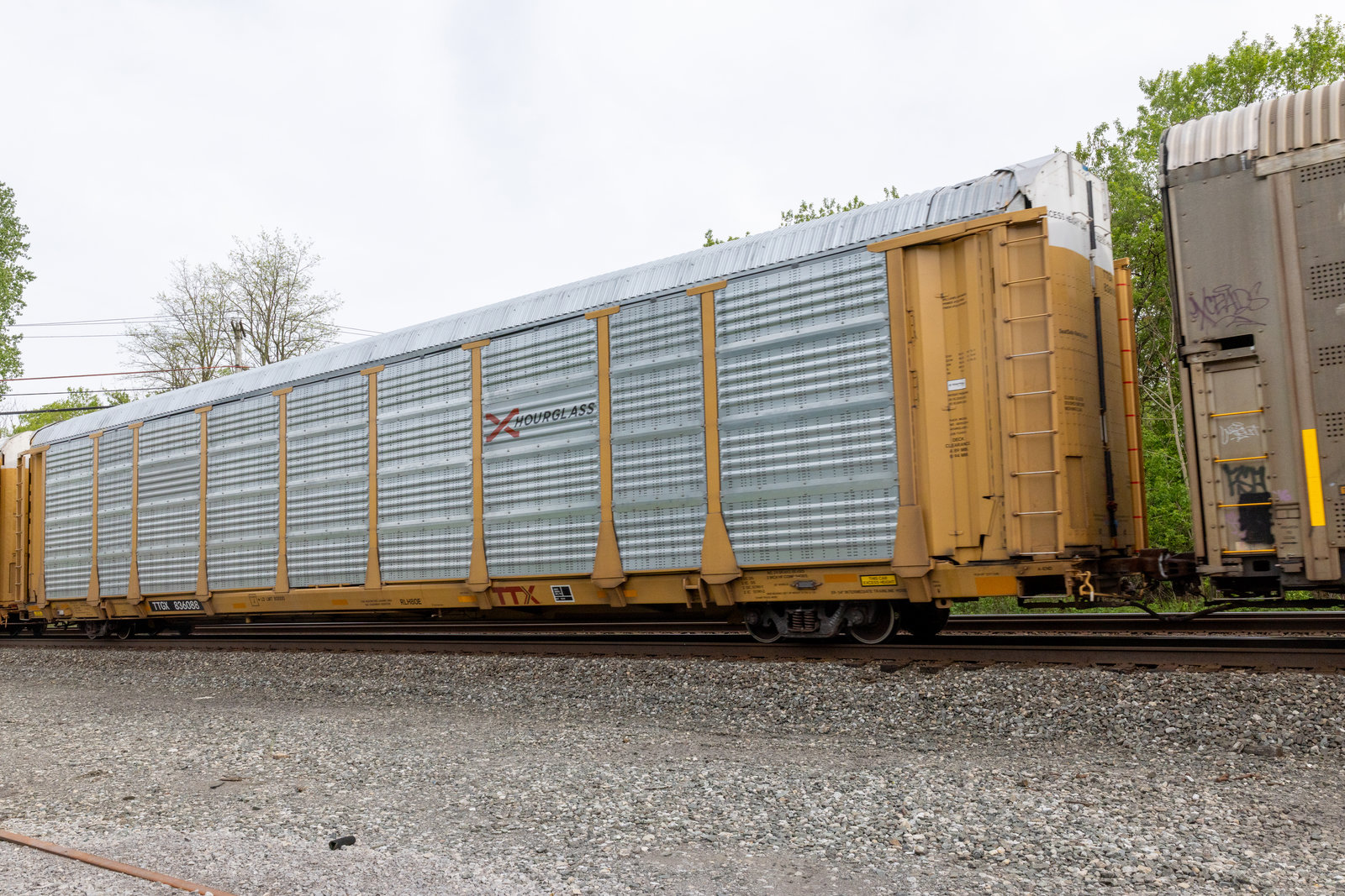 TTGX 836088