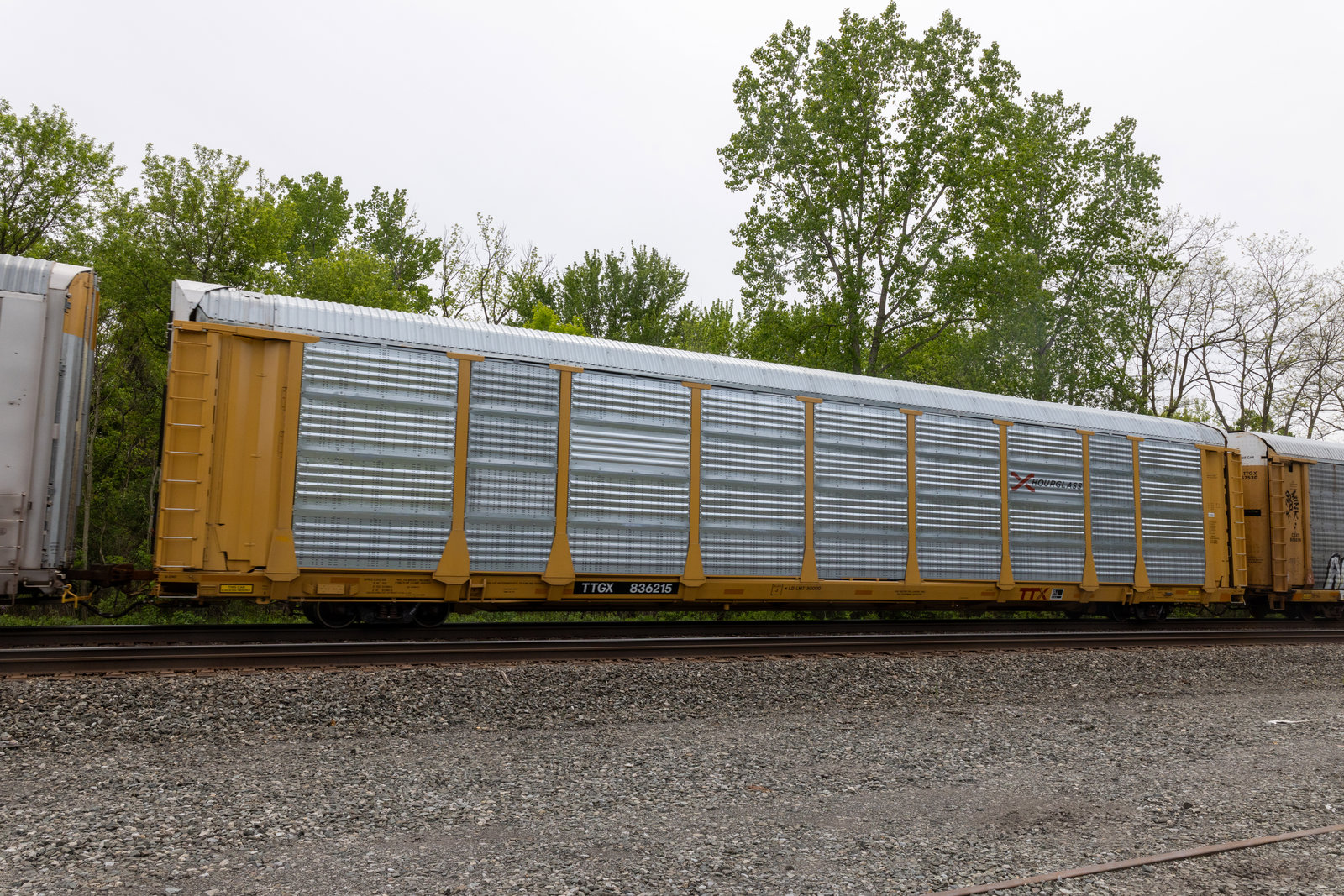 TTGX 836215