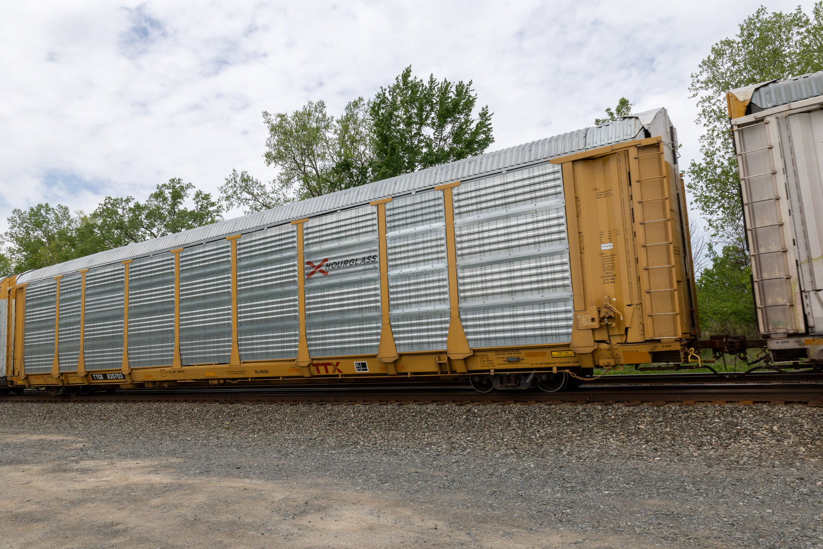 TTGX 835703