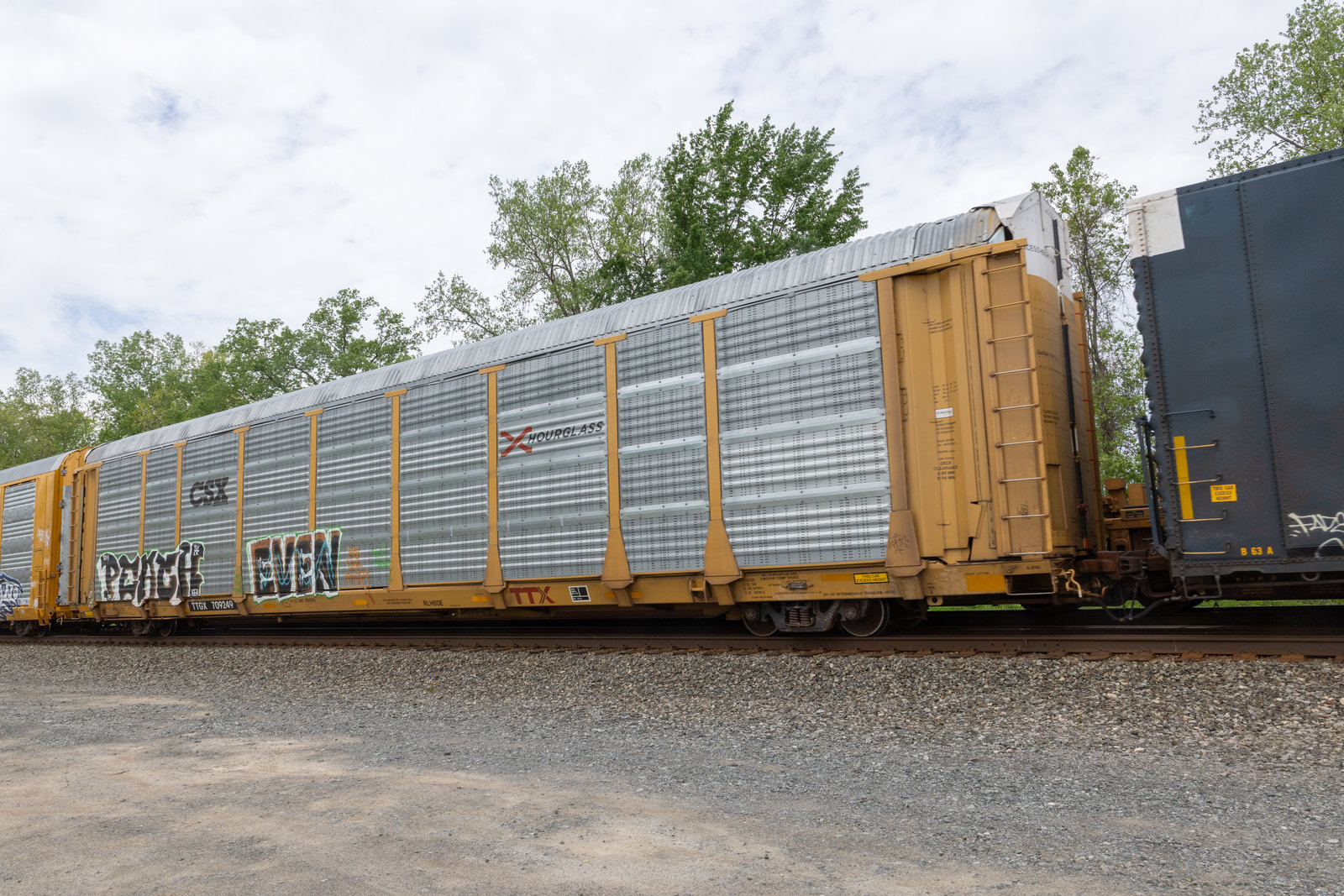 TTGX 709249