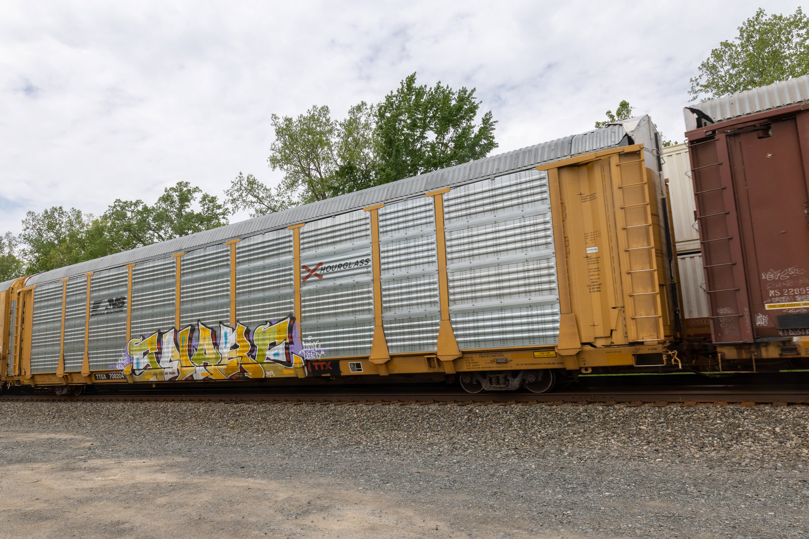 TTGX 708204