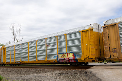 TTGX 835081