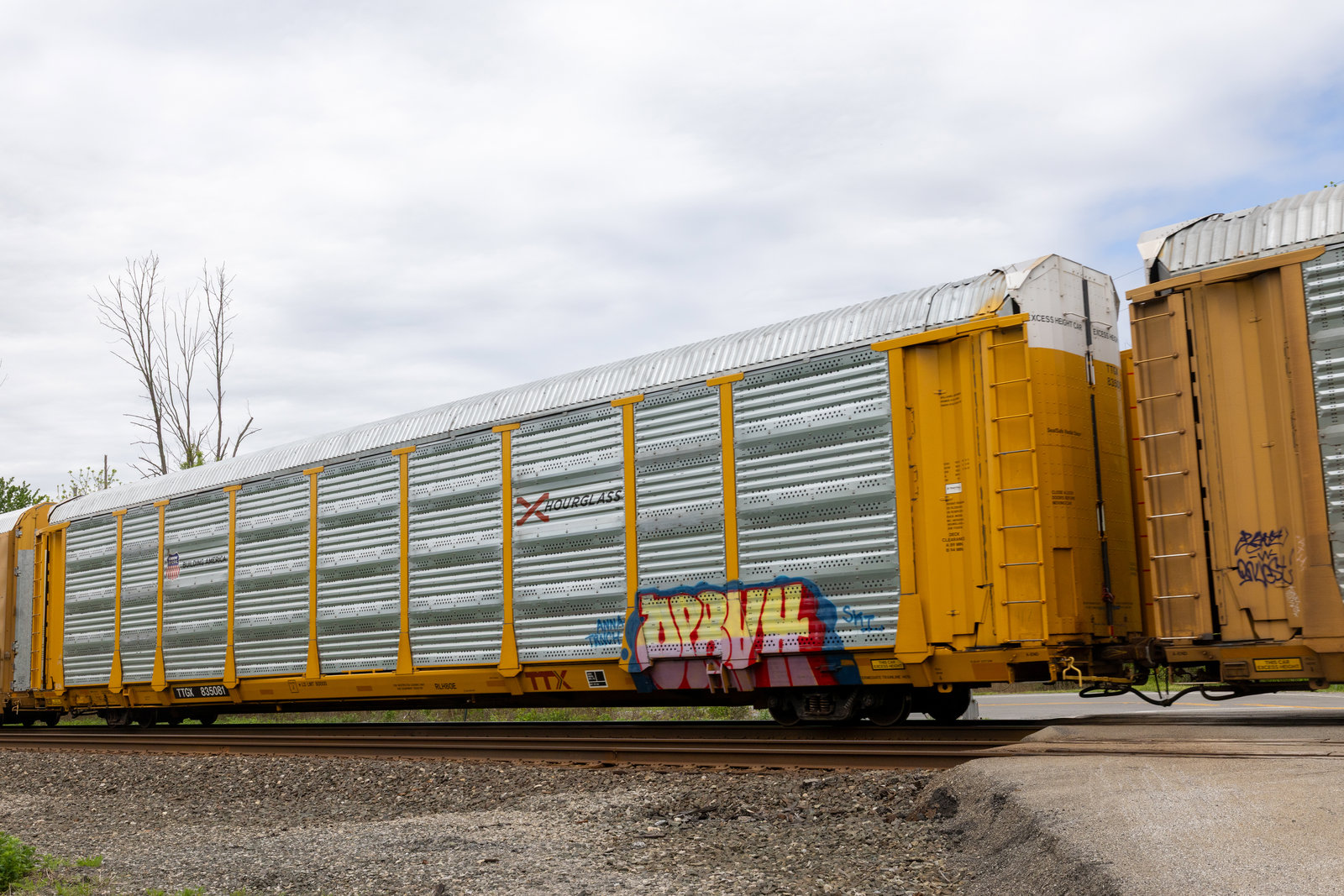 TTGX 835081