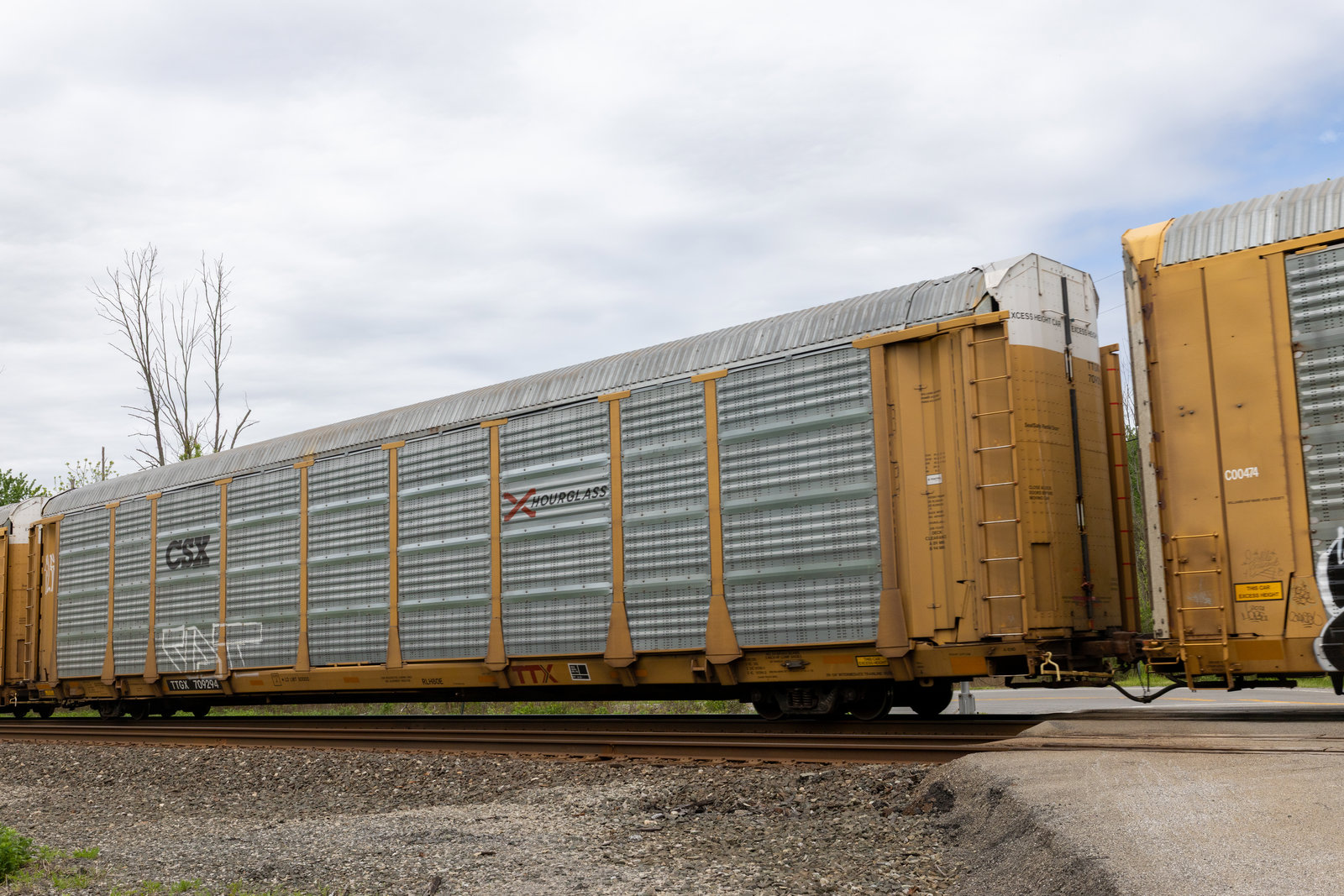 TTGX 709294