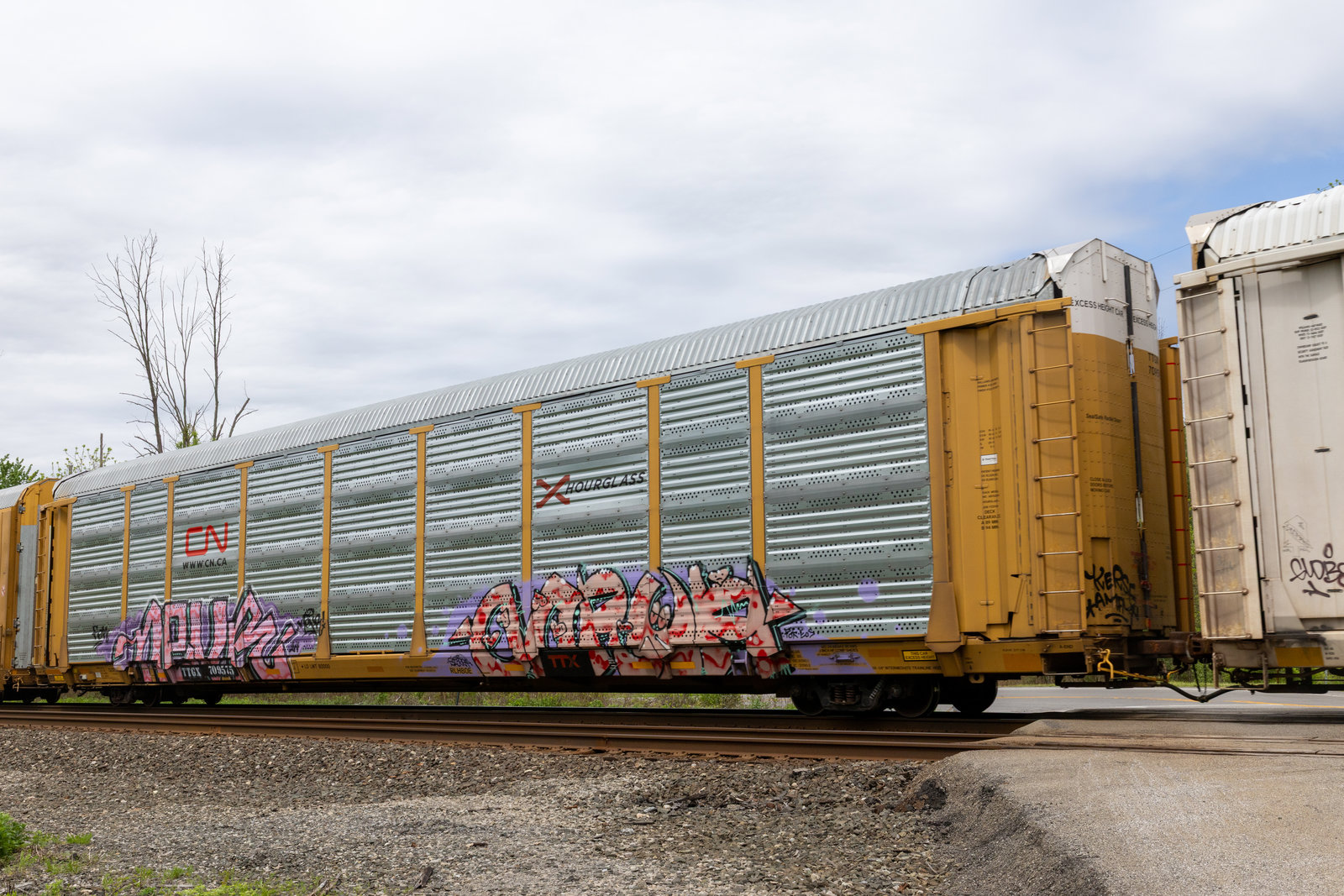 TTGX 709575