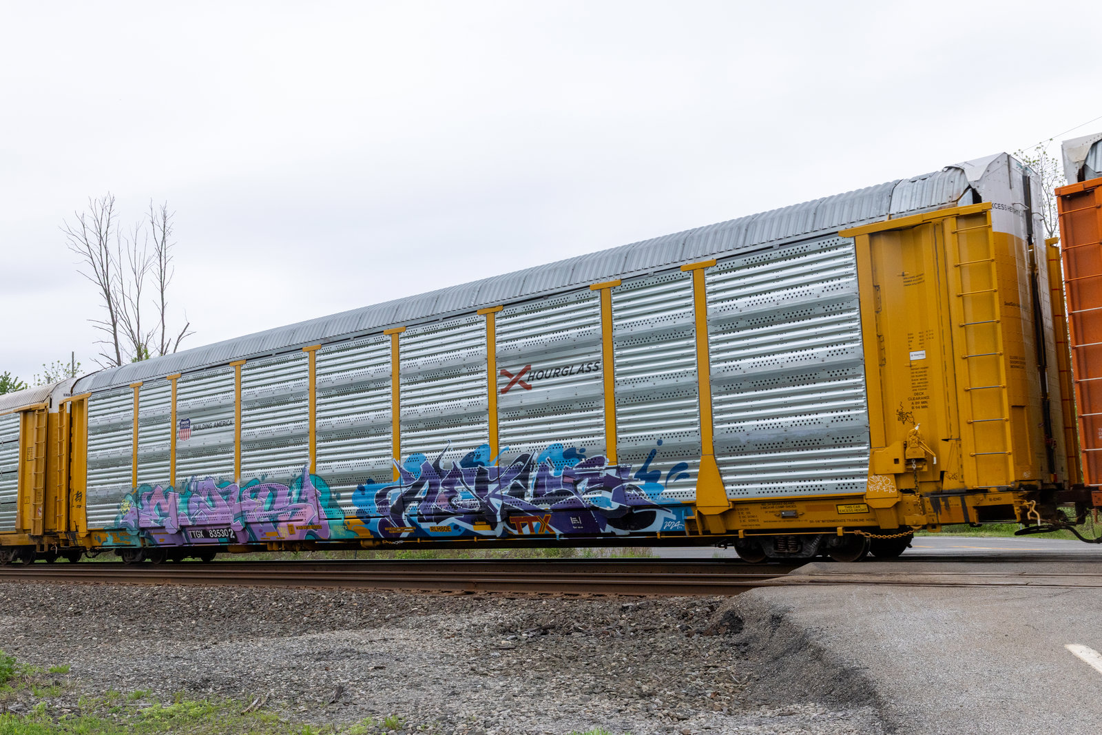 TTGX 835302
