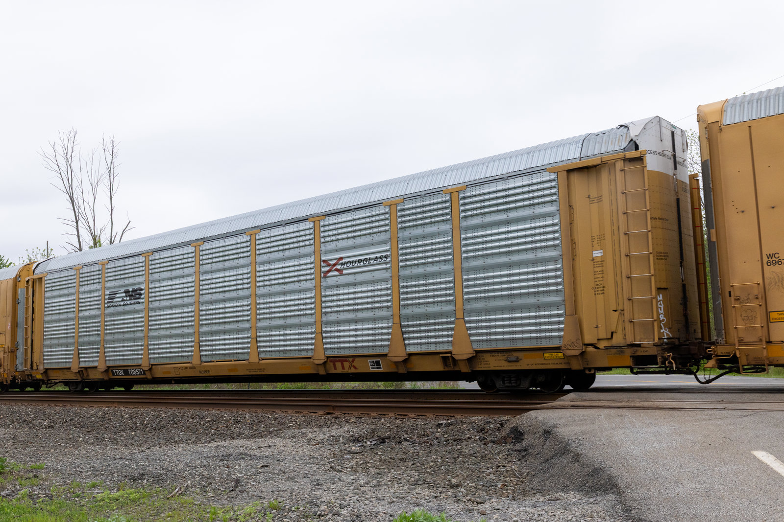 TTGX 708571