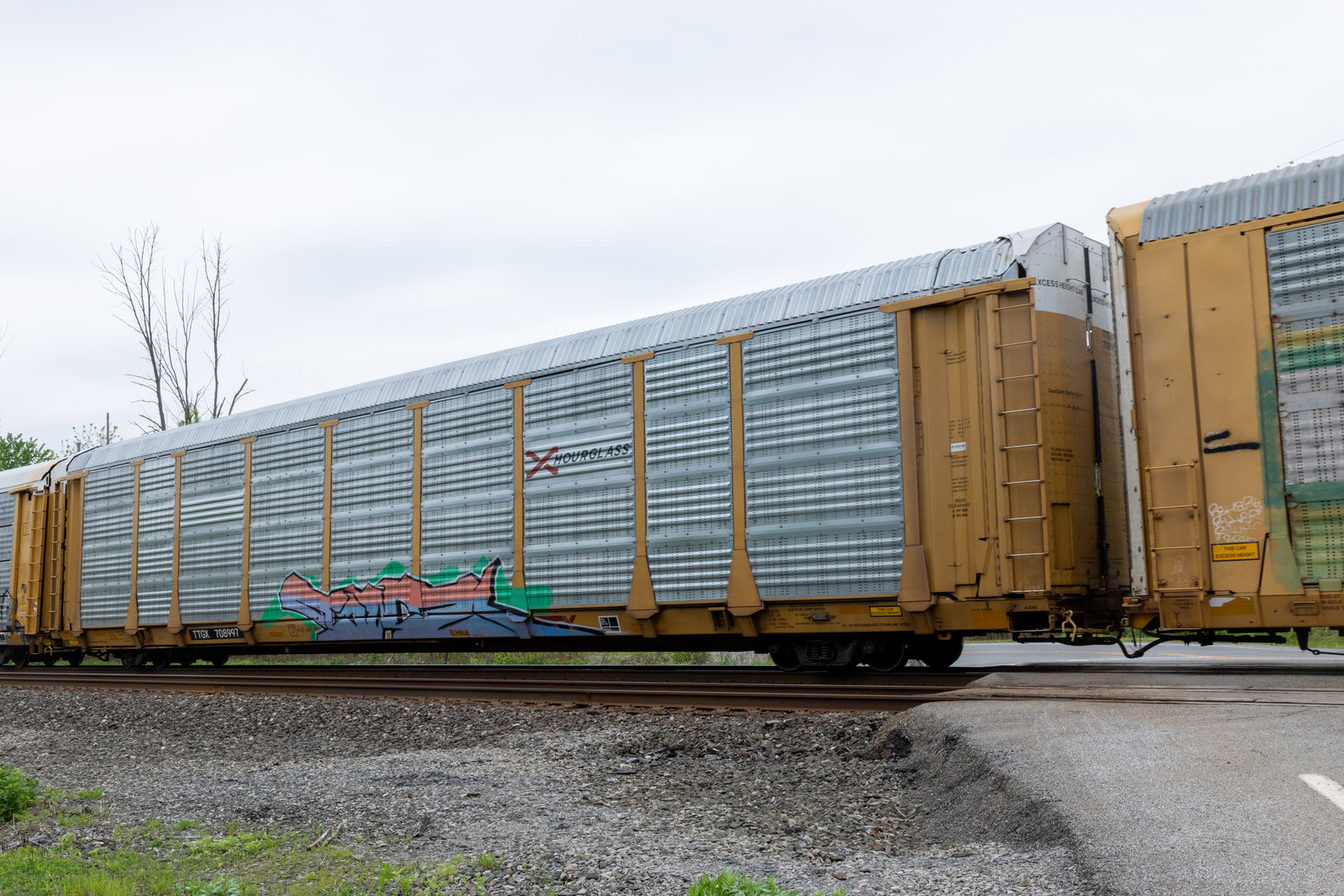 TTGX 708997