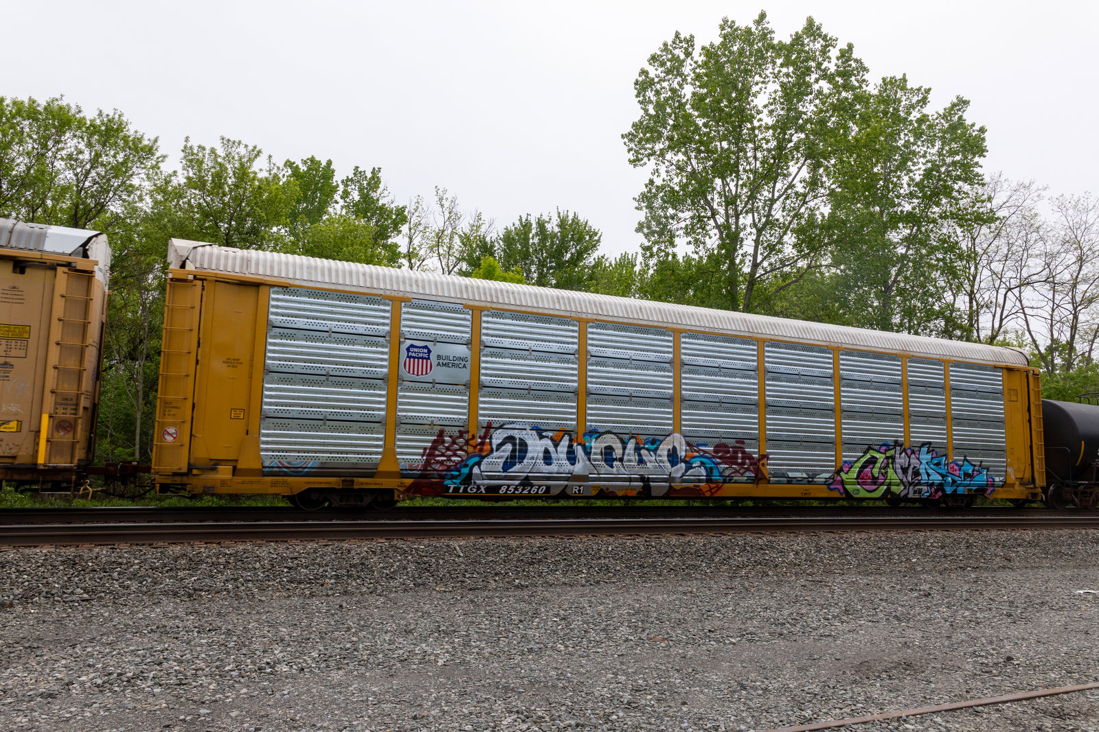 TTGX 853260