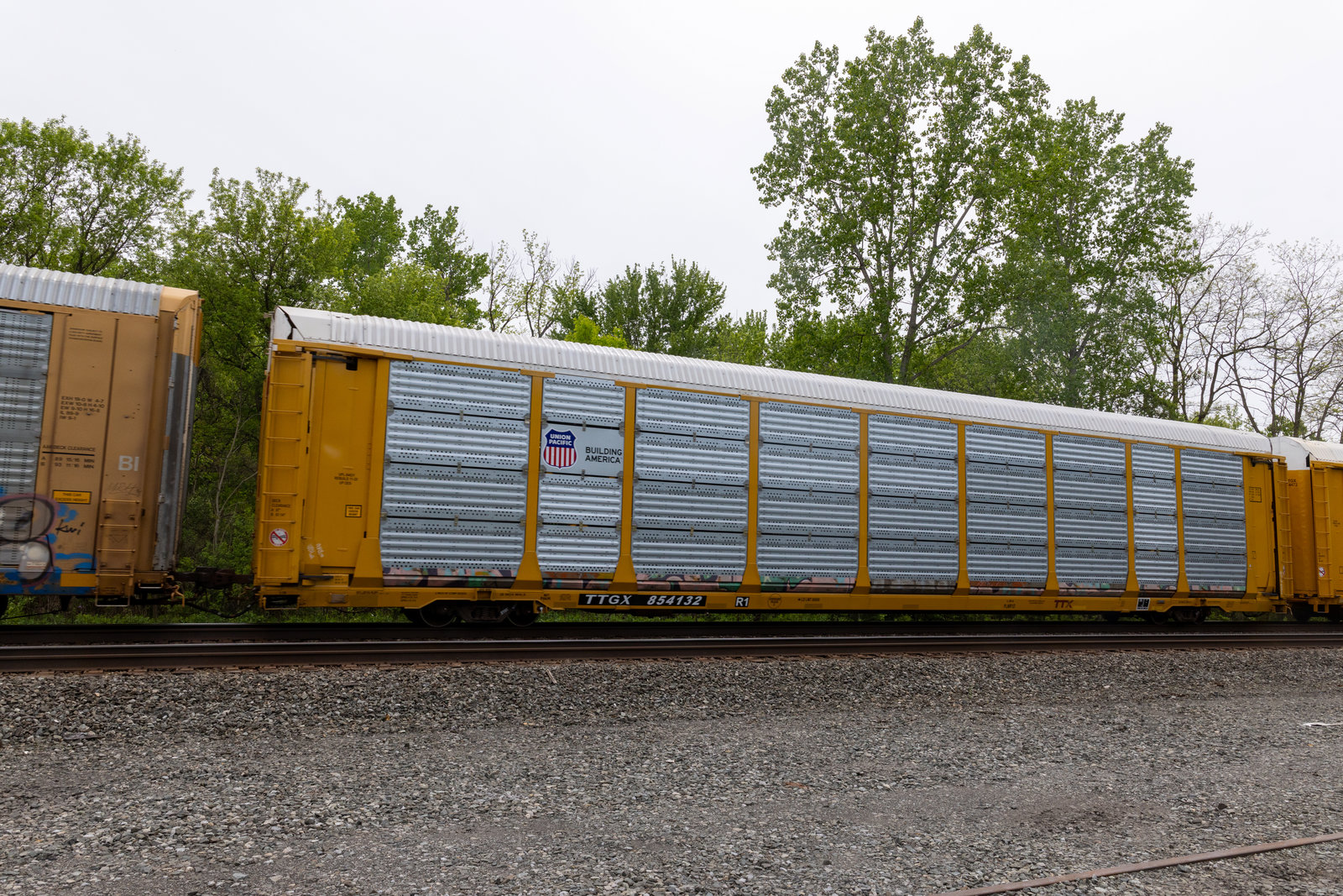 TTGX 854132
