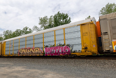 TTGX 852879