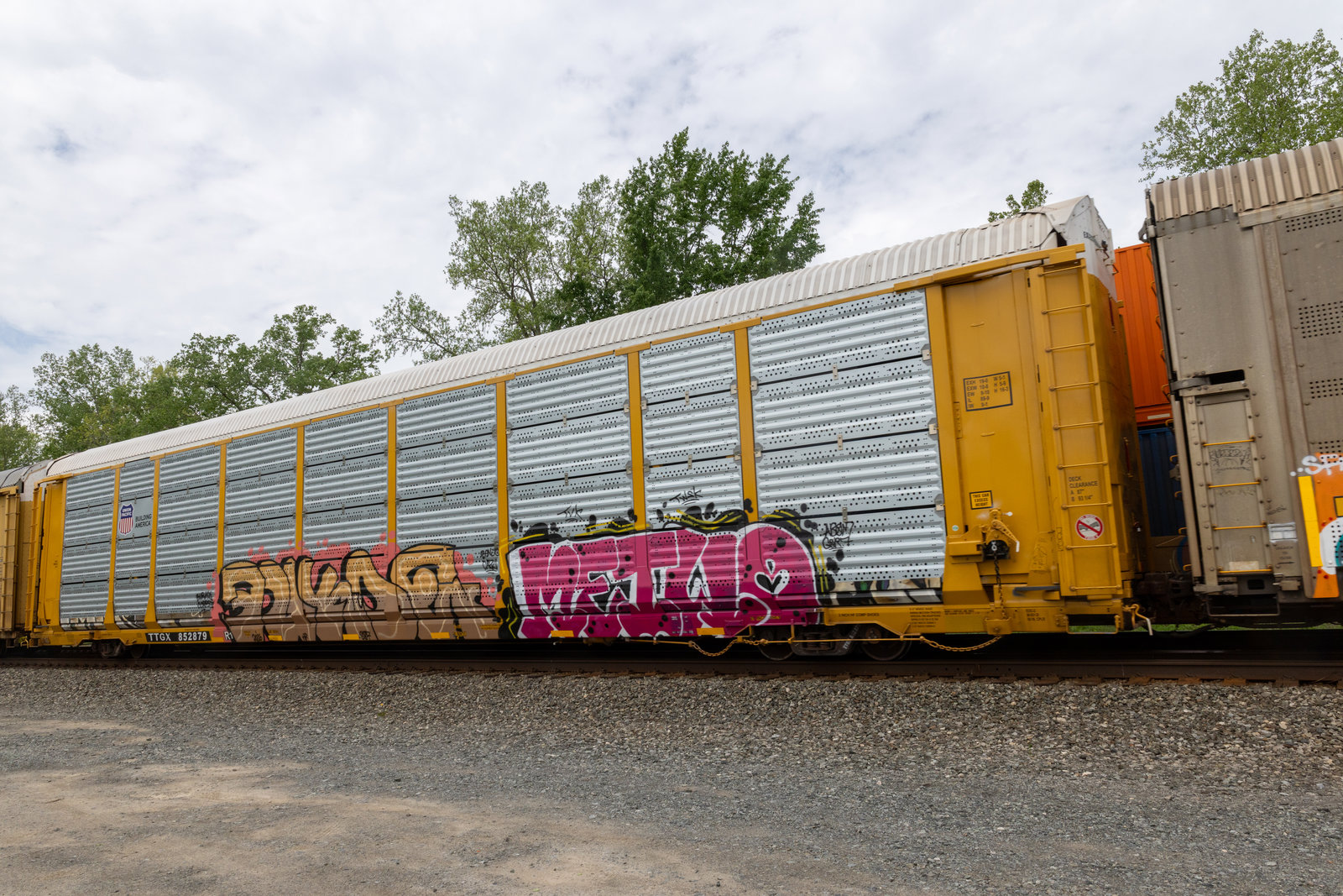 TTGX 852879