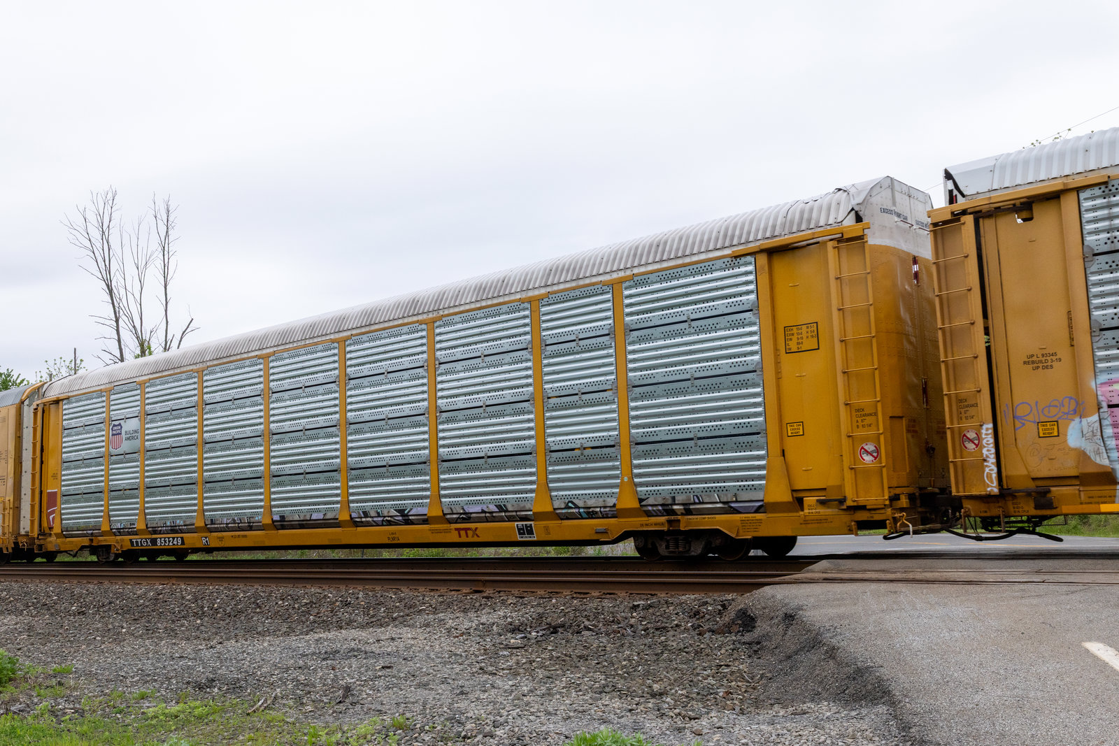 TTGX 853249