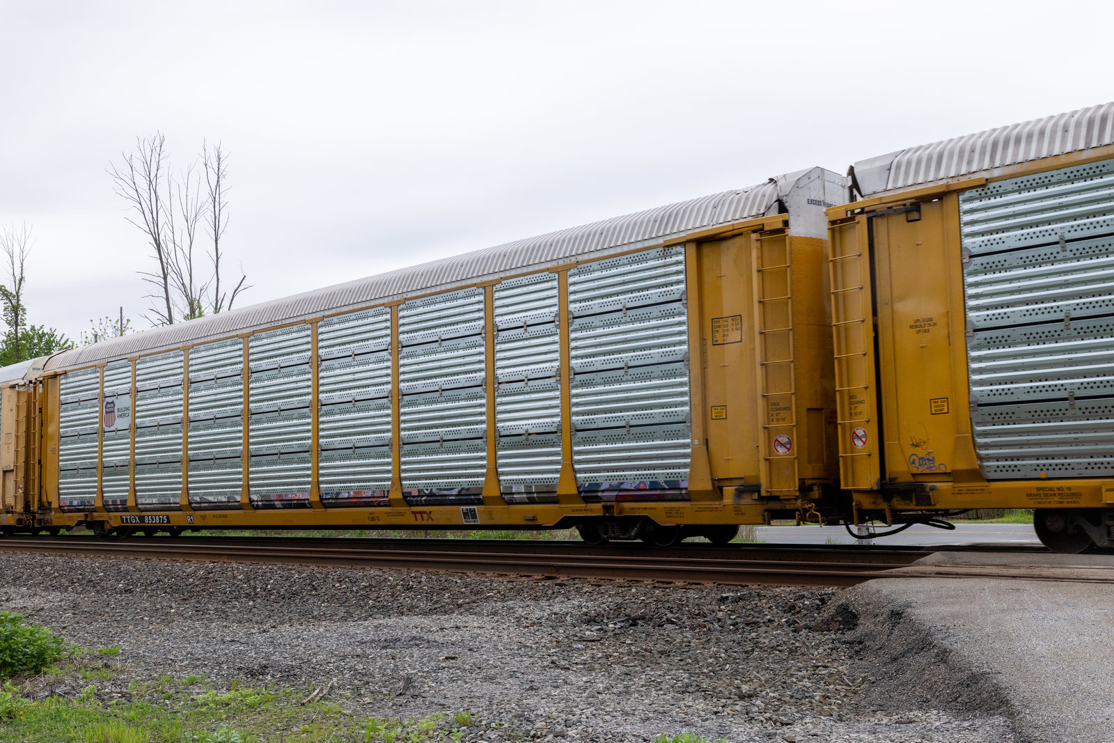 TTGX 853875