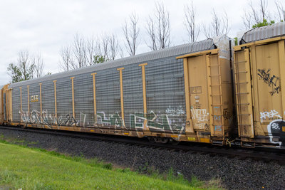 TTGX 853122