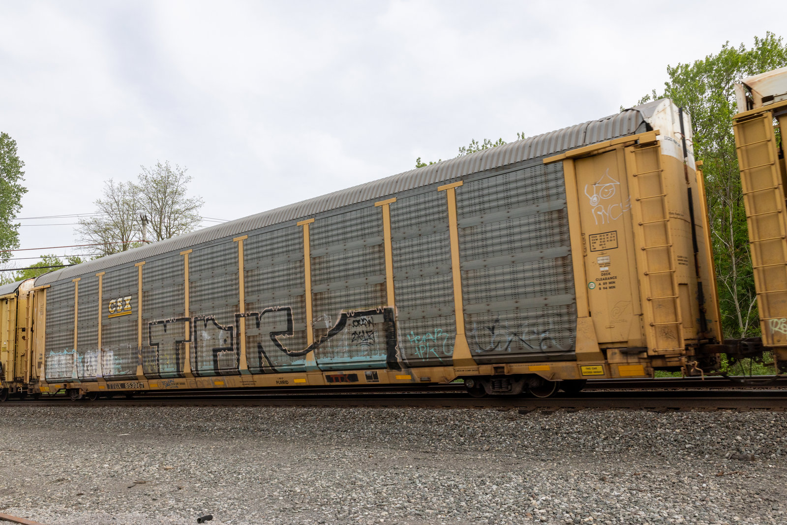 TTGX 853067