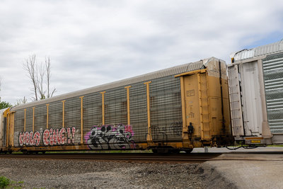 TTGX 853409
