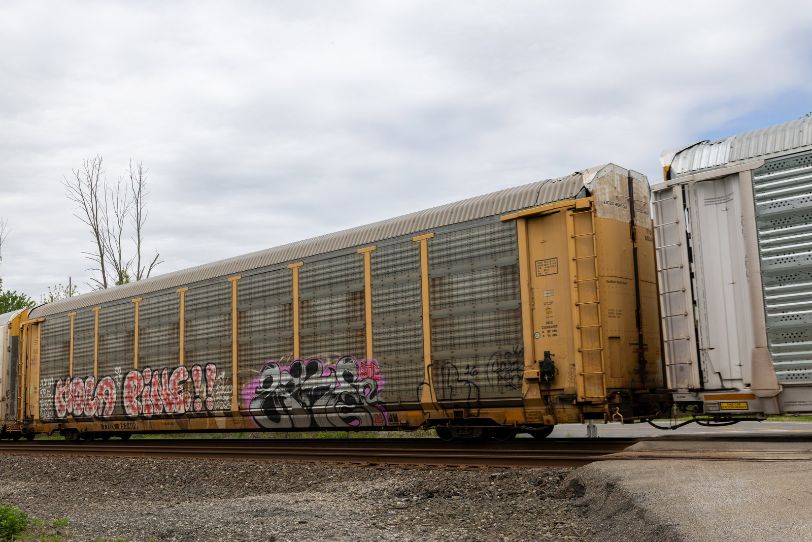 TTGX 853409