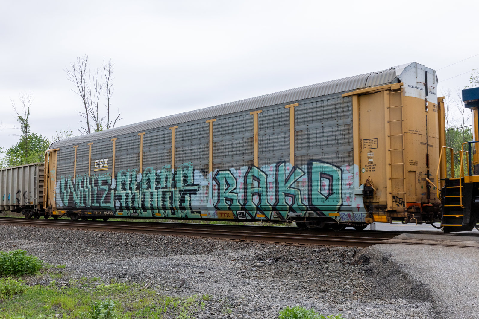 TTGX 851557