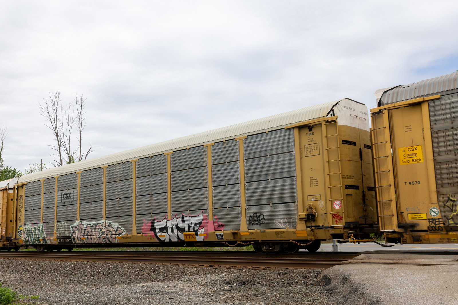 ETTX 710211