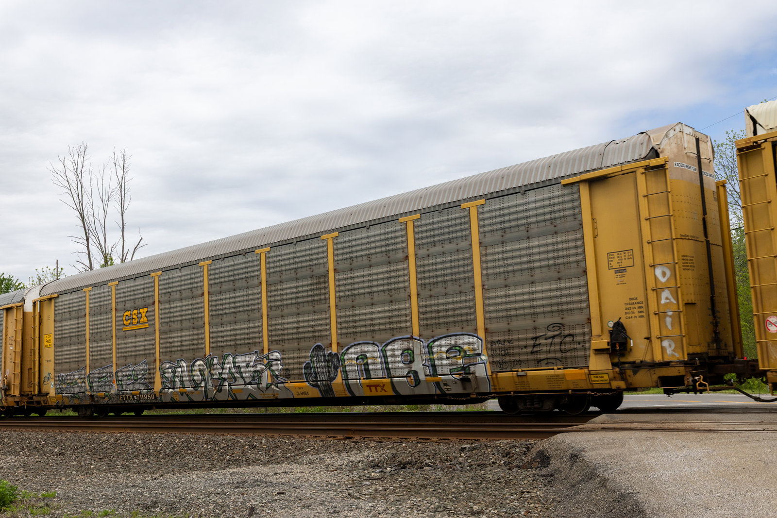 ETTX 711950