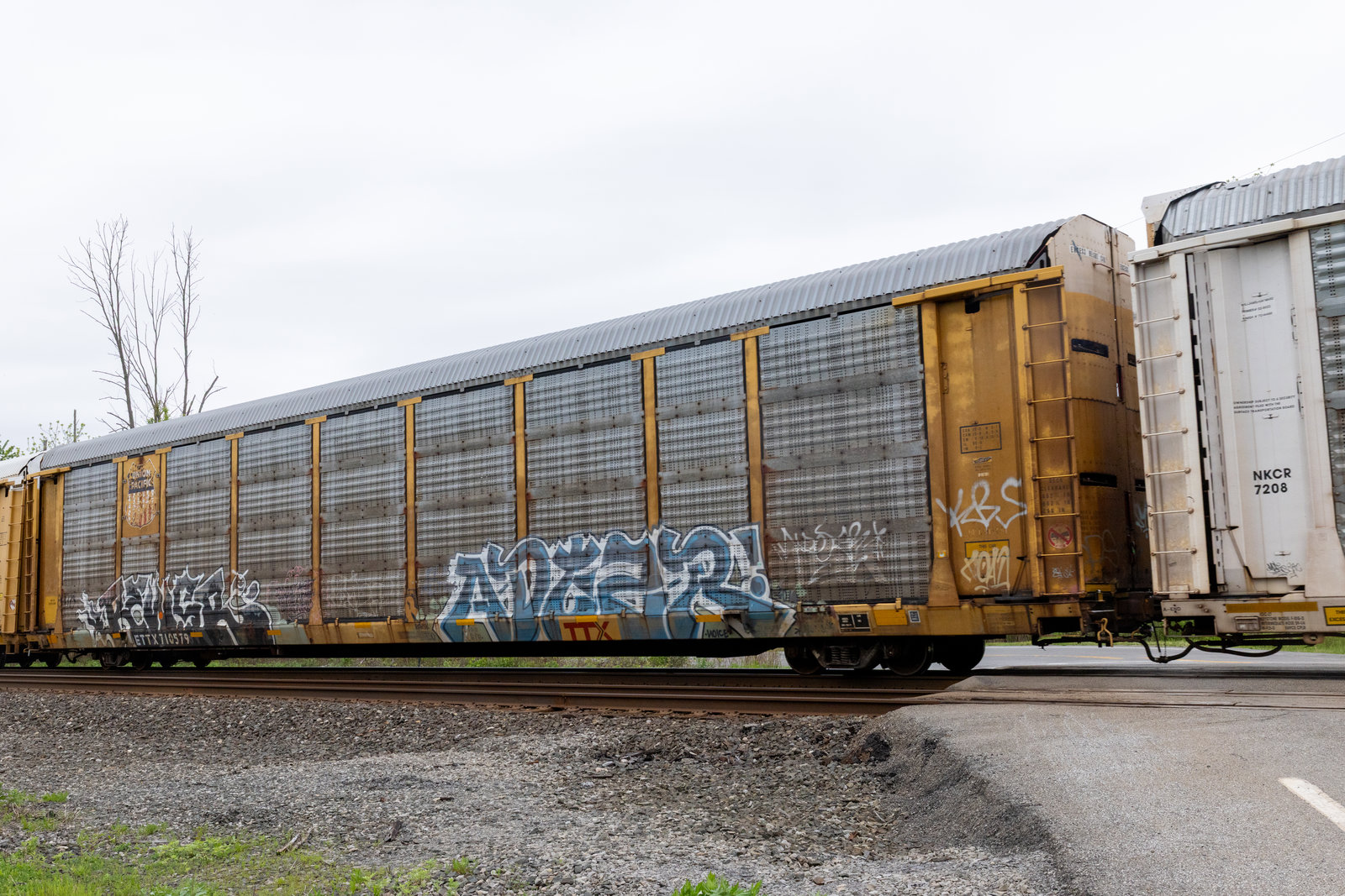 ETTX 710579