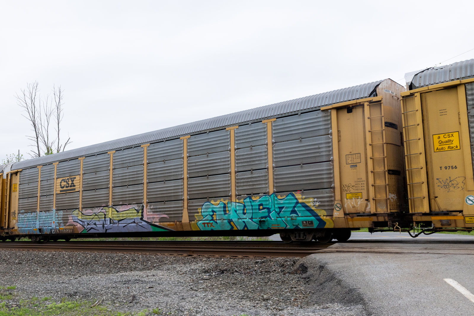 ETTX 710239