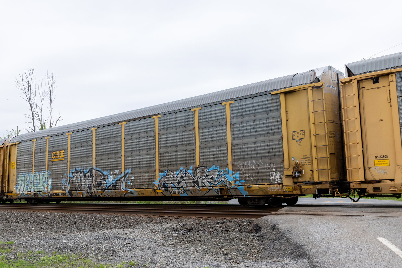 ETTX 712004