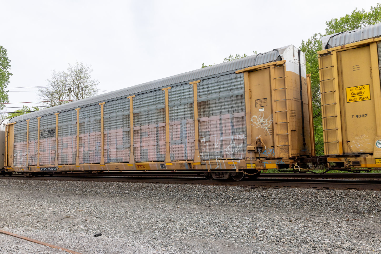 ETTX 703033