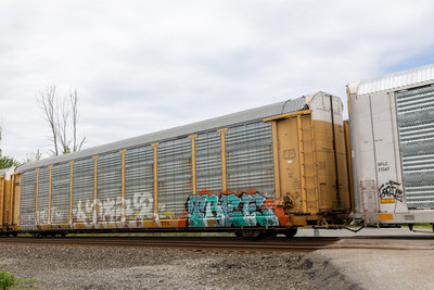 ETTX 703701