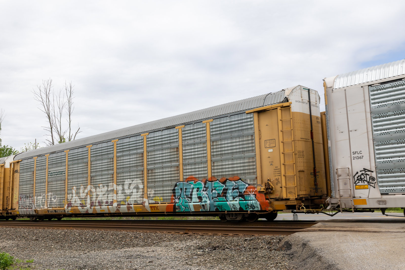 ETTX 703701