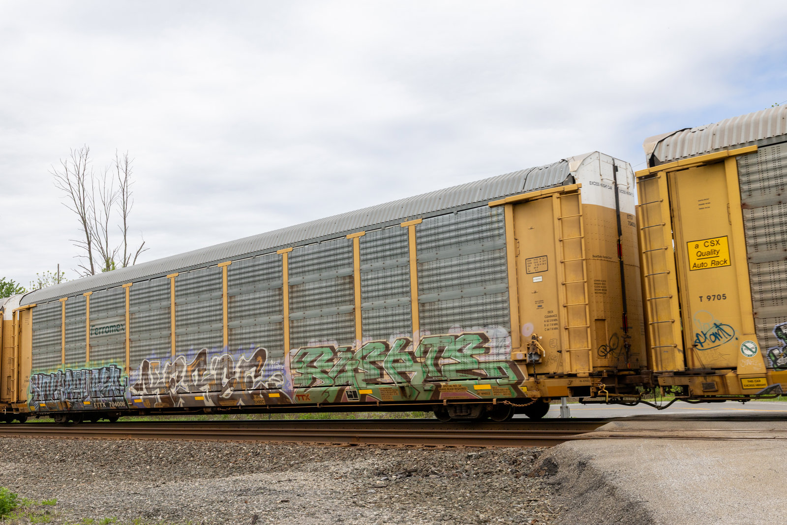 ETTX 704006