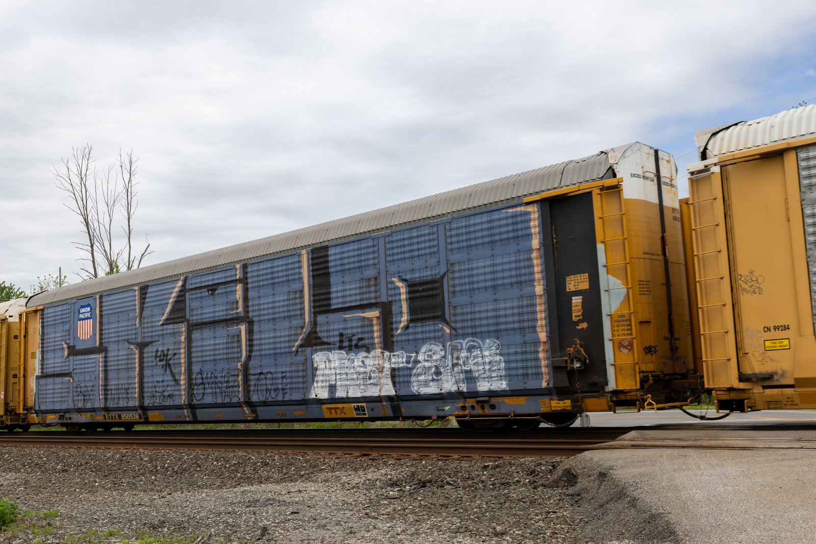 ETTX 850538