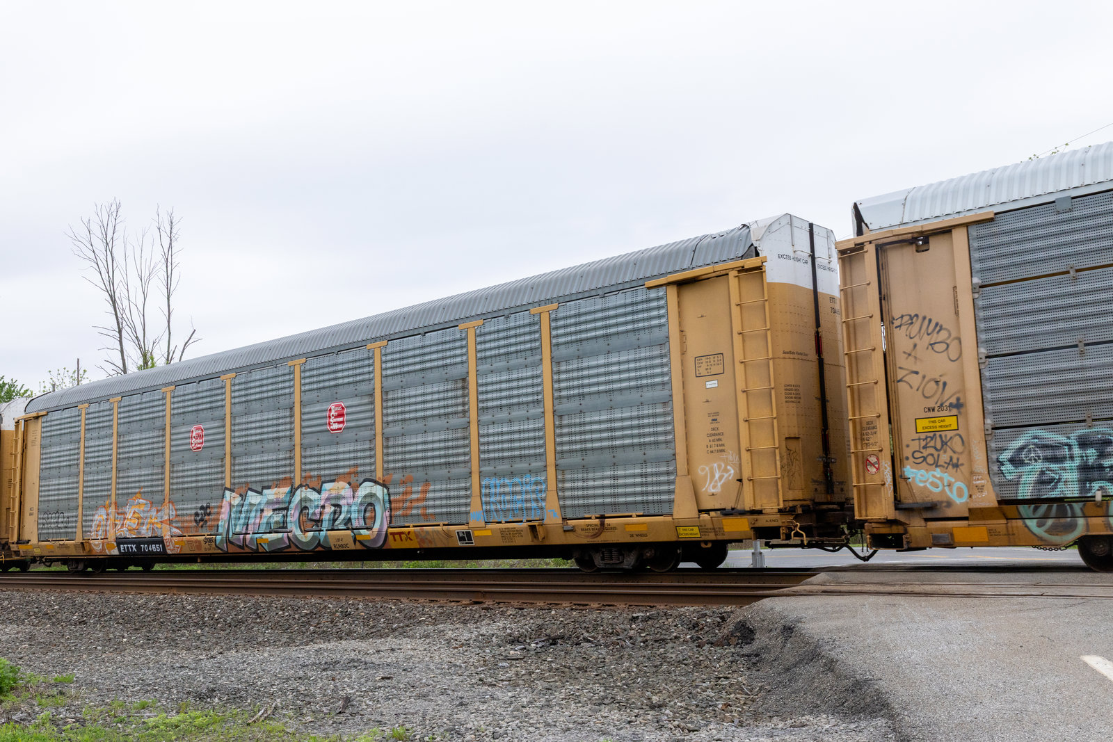 ETTX 704651