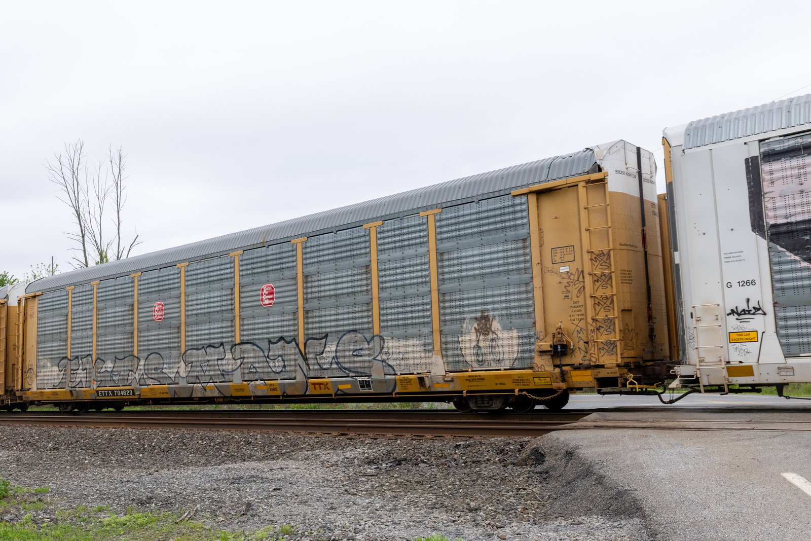 ETTX 704623
