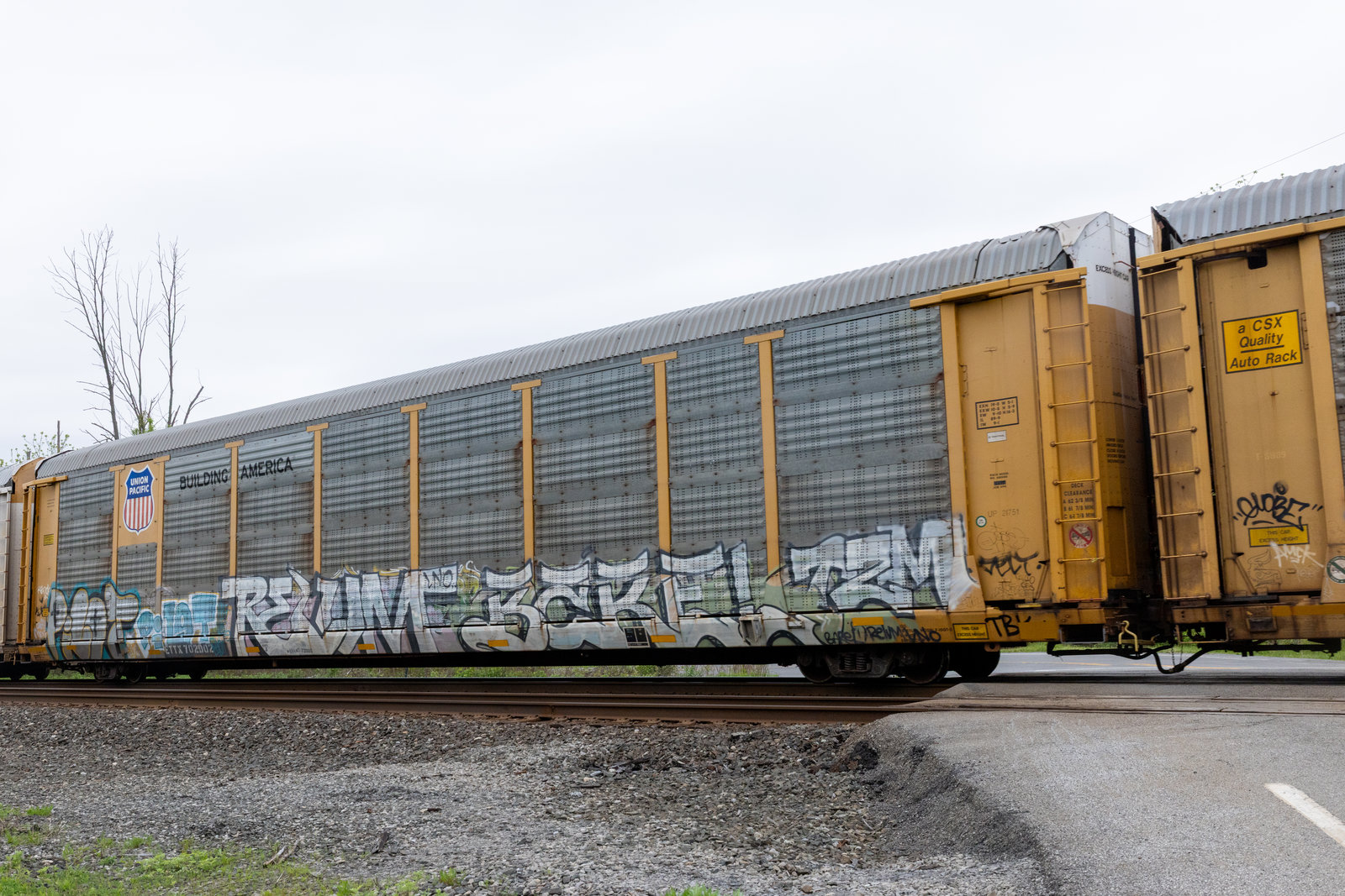 ETTX 702002