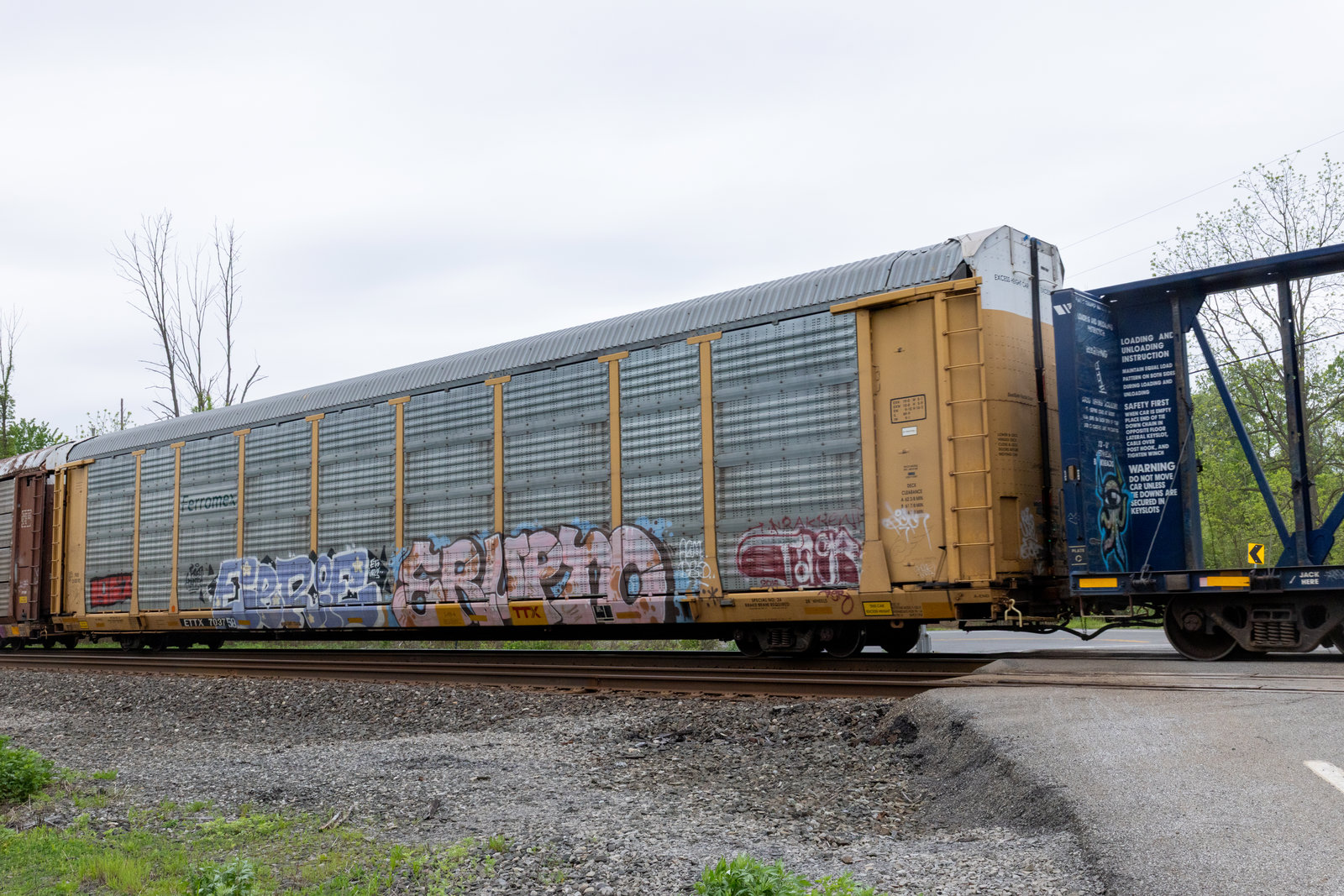 ETTX 703758