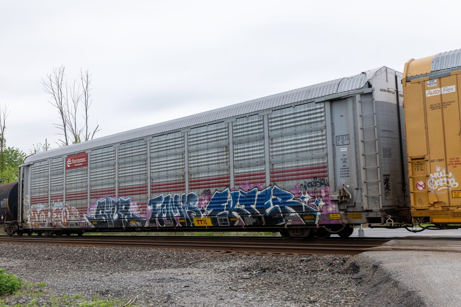ETTX 706231