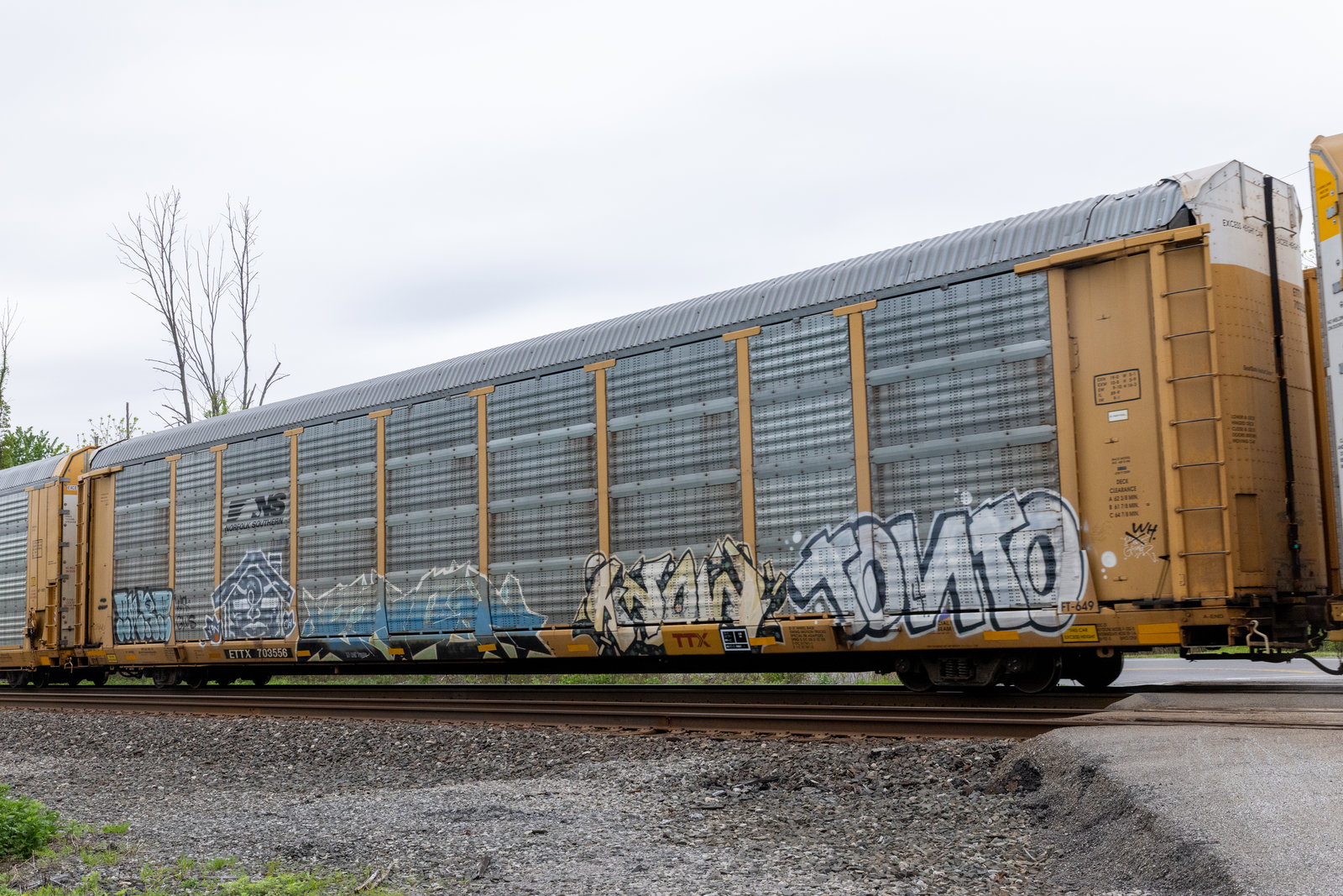 ETTX 703556