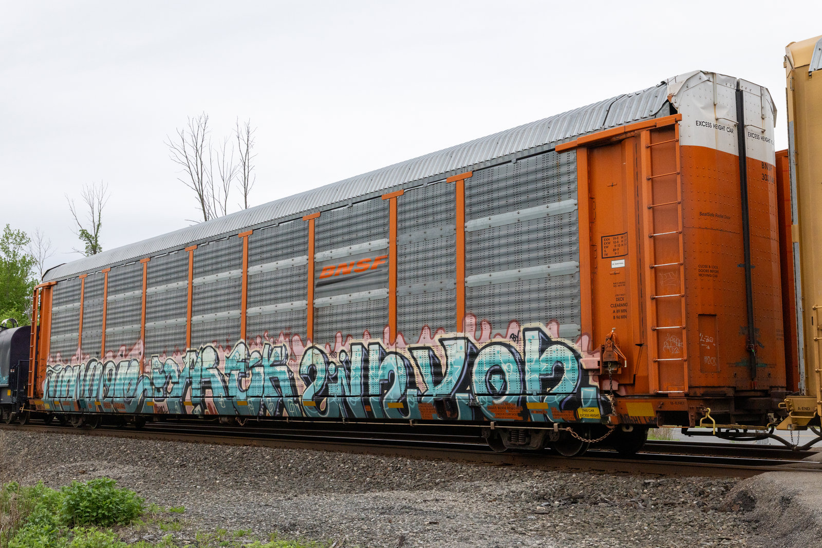 BNSF 303146