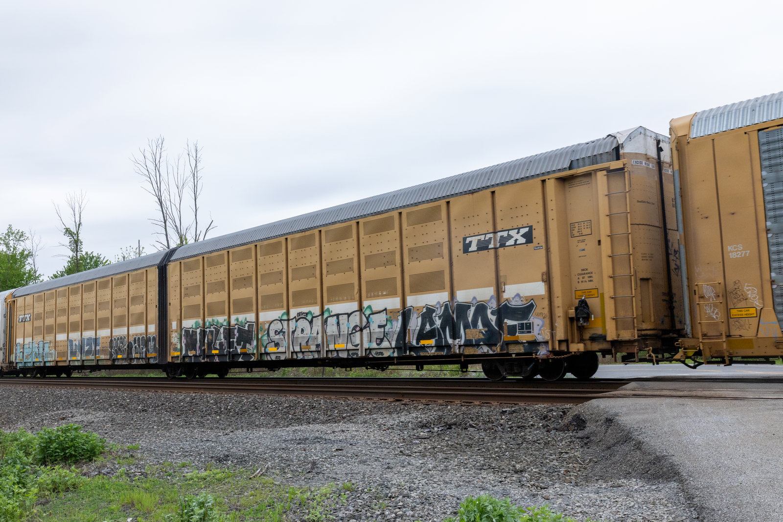 BTTX 880294