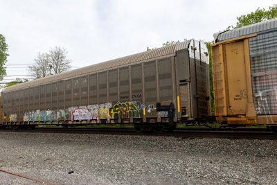 CNA 712901