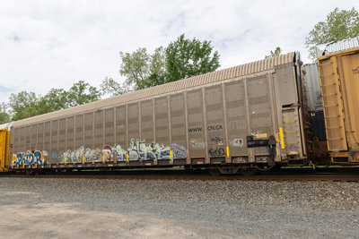 CNA 712903